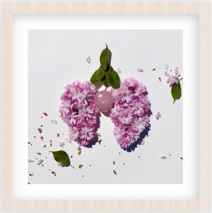 Breathing Cherry Blossoms Print