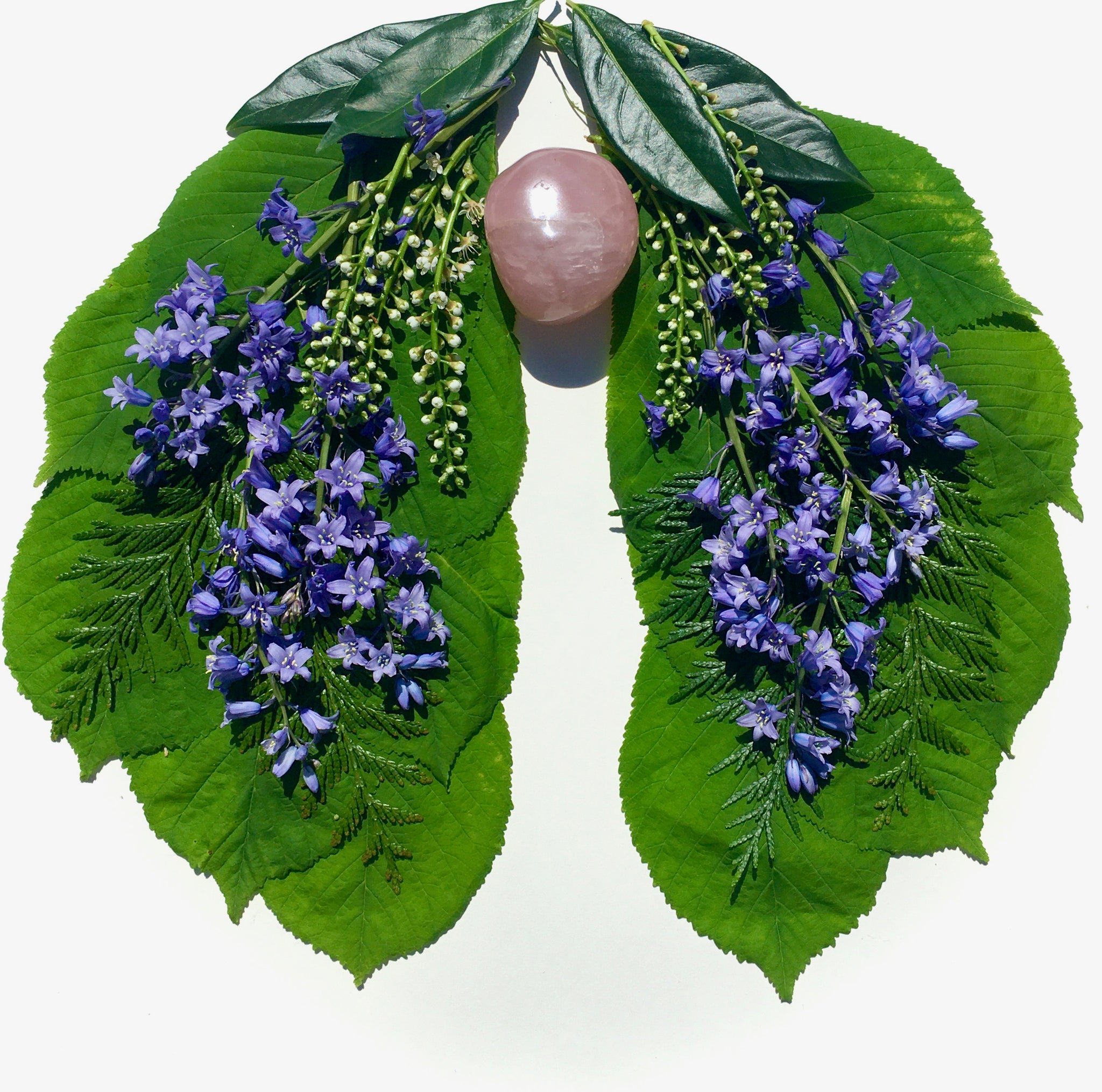 Bluebells and Cherry Laurel layer over green leaves in two matching shapes like lungs. Between the lungs a  large rose quartz crystal sits where the heart would be.