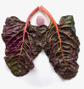 Two red rainbow chard leaves form lungs around a rose quartz heart