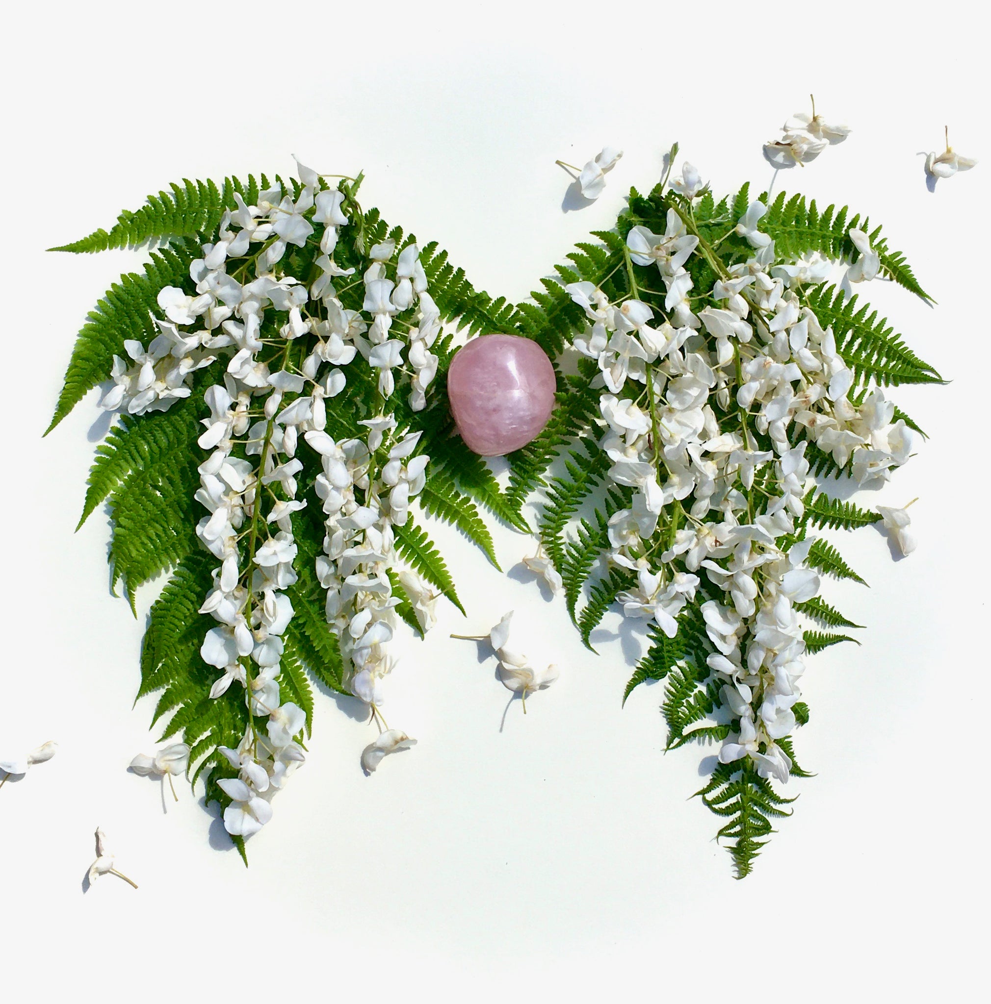 Fallen flowers are scattered across blooming Wisteria shaped into lungs around a rose quartz heart. 