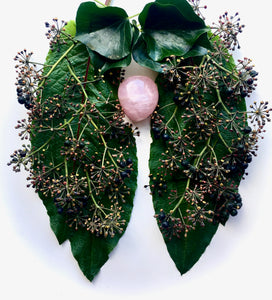 Ivy berries and leaves from two lungs around a rose quartz crystal