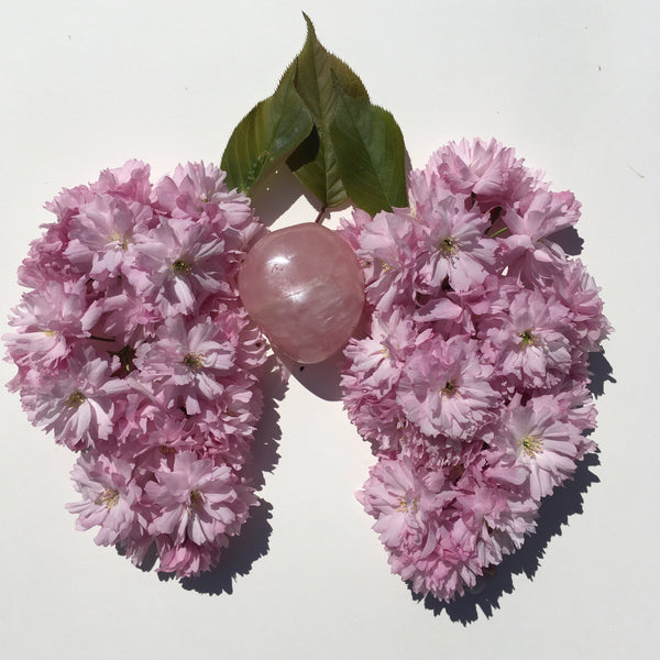 Fluffy pink cherry blossoms form lungs around a rose quartz heart